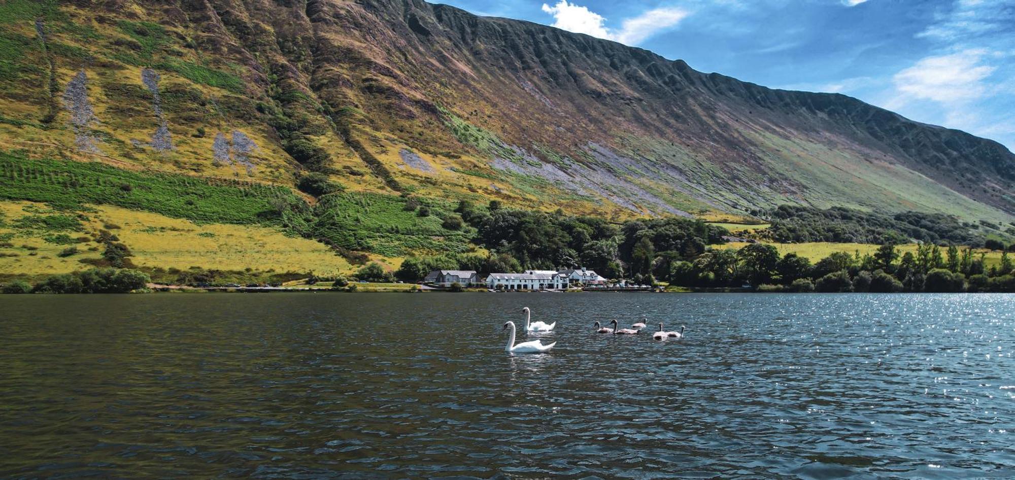 Tal-y-llyn Tynycornel Hotel מראה חיצוני תמונה